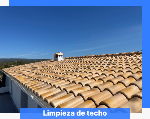 Limpieza de Techos