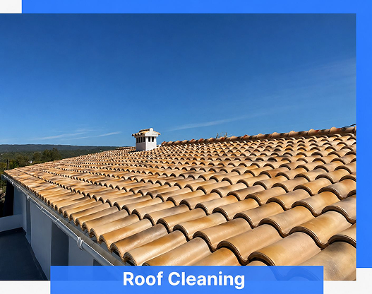 Roof Cleaning
